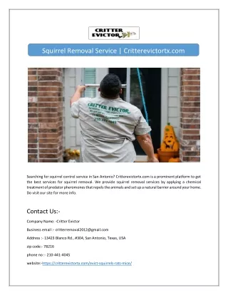 squirrel removal service critterevictortx com