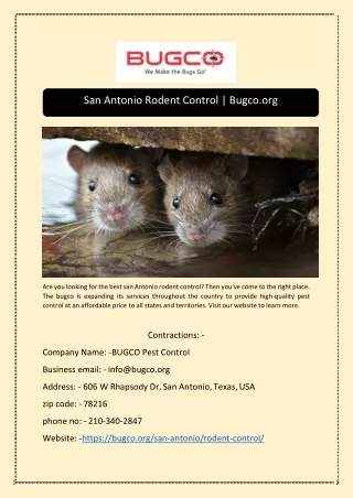 san antonio rodent control bugco org