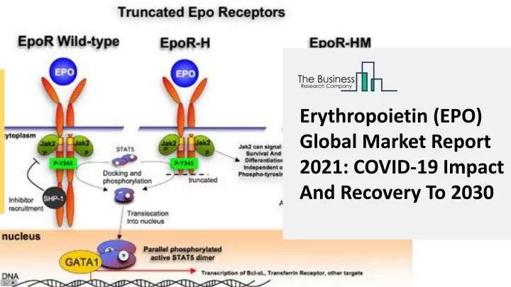 erythropoietin epo global market report 2021