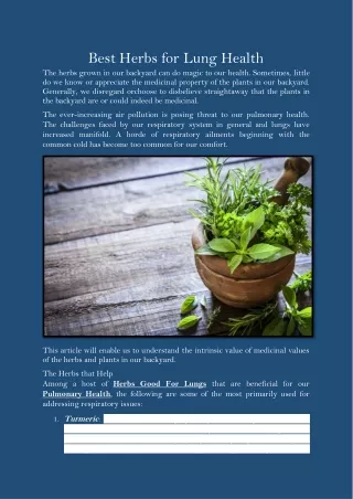 best herbs for lung health the herbs grown