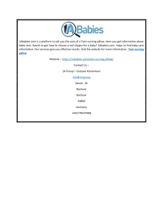 Twin Nursing Pillow | 1Ababies.com