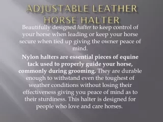 Adjustable Leather Horse Halter