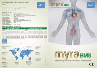 MYRA BMS - Peripheral Stent Brochure