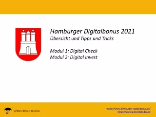 Hamburg Digital Check Invest Förderprogramm einfach erklärt im PDF