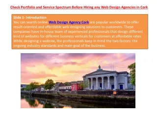 Check Portfolio and Service Spectrum Before Hiring any Web Design Agencies in Cork