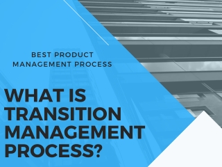best product management process