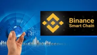BINANCE SMART CHAIN DEVELOPMENT COMPANY IN NEW YORK