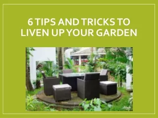 6 tips and tricks to liven up your garden