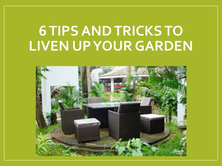 6 tips and tricks to liven up your garden