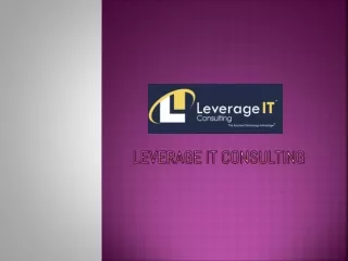leverage it consulting