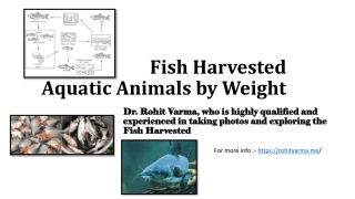 Dr. Rohit Varma - Recorded More Catches Than Any Other Wild Fish Species