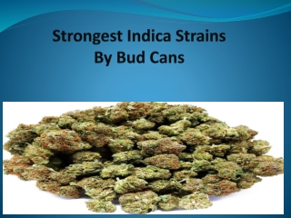 Strongest Indica Strains| Bud Cans
