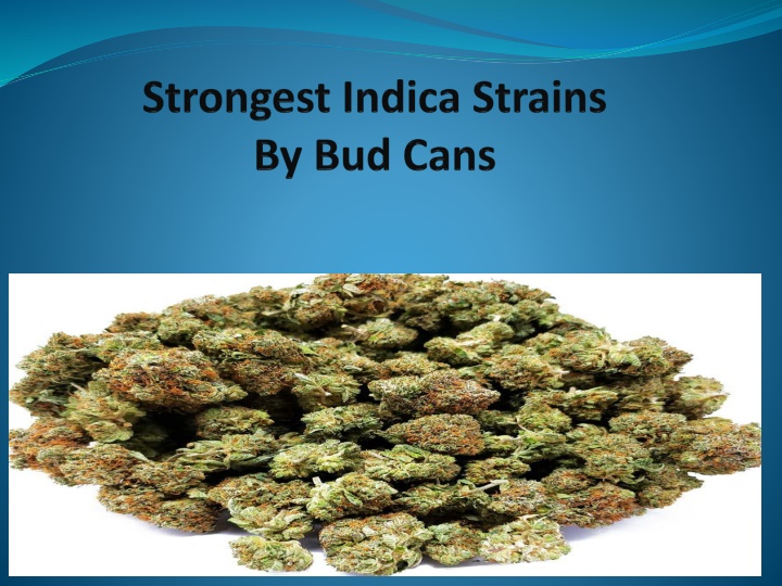 strongest indica strains by bud cans