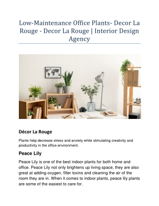 Low-Maintenance Office Plants- Decor La Rouge - Decor La Rouge | Interior Design