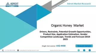 adroit market research