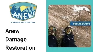 anew damage restoration