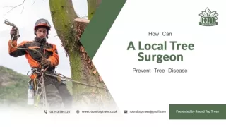 How Can A Local Tree Surgeon Prevent Tree Disease