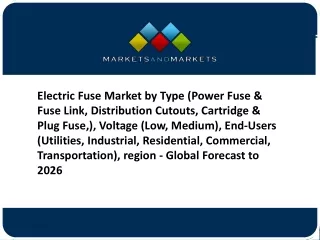 electric fuse market by type power fuse fuse link