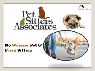 Find a great deal with No Worries Pet & Farm Sitting for Dog walking Franklin
