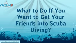 What to Do If You Want to Get Your Friends into Scuba Diving?