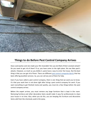 Things to do Before Pest Control Company Arrives