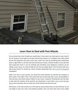 Learn How to Deal with Pest Attacks
