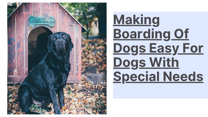 making boarding of dogs easy for dogs with