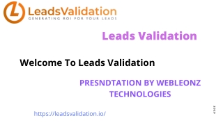 rofessional Lead verification service