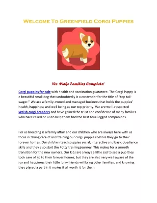 Corgi Puppies For Sale in $550 | Lifetime Health Guarantee | Greenfield Corgi Puppies