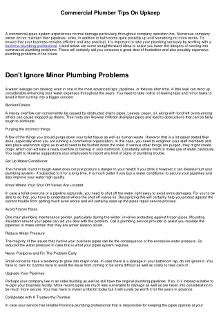 Business Plumbing Professional Tips On Maintenance