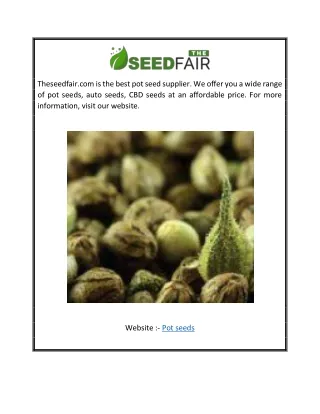 Pot Seeds | Theseedfair.com