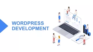 wordpress development