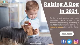raising a dog in 2021