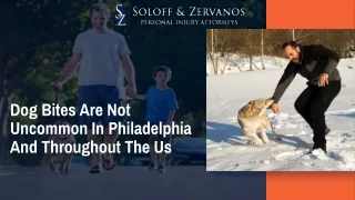 dog bites are not uncommon in philadelphia