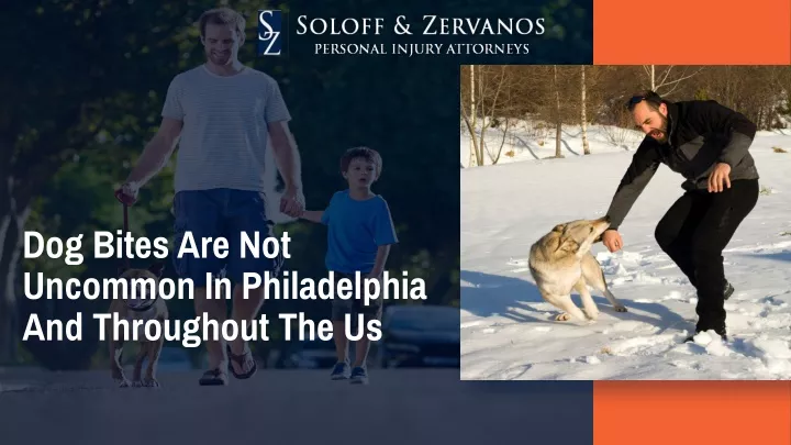 dog bites are not uncommon in philadelphia