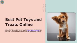 Best Pet Toys and  Treats Online