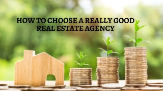 George Real Estate Group | How to Choose a Real Estate Agency Based on the Laws of Agency