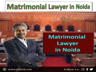 Matrimonial Lawyer in Noida
