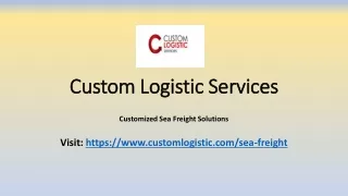 custom logistic services custom logistic services