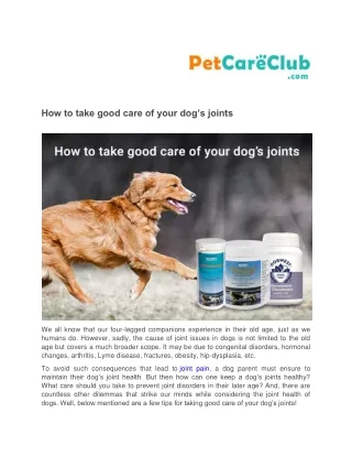 how to take good care of your dog s joints