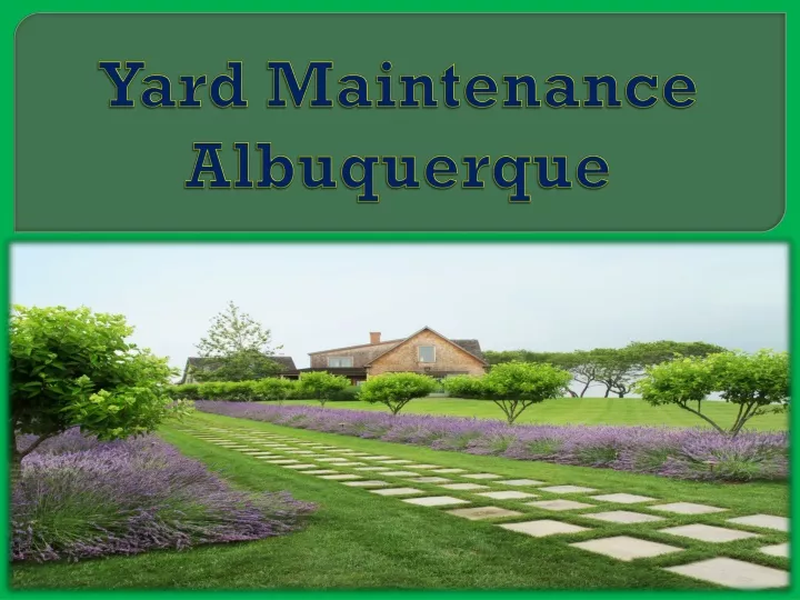 yard maintenance albuquerque