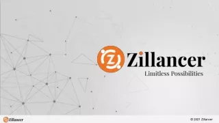 Zillancer Experts