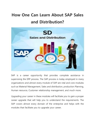 how one can learn about sap sales and distribution
