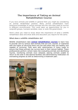 Equine Rehabilitation Certification Online | Academy of Animal Sport Science