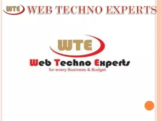 Get Web Techno Experts to improve your website’s search engine result pages.