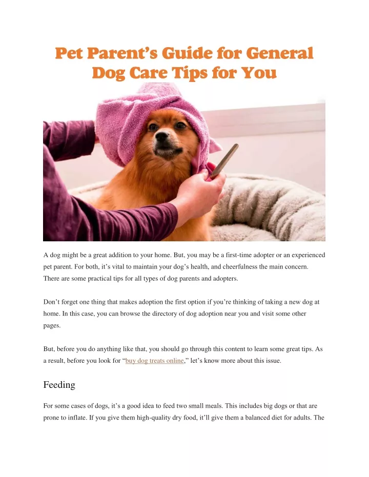 pet parent s guide for general dog care tips