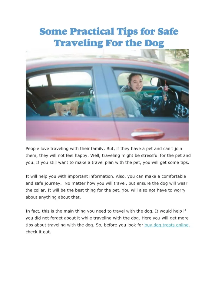 some practical tips for safe traveling for the dog