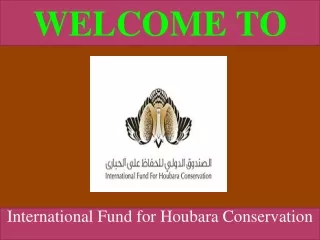 International Fund for Houbara Conservation