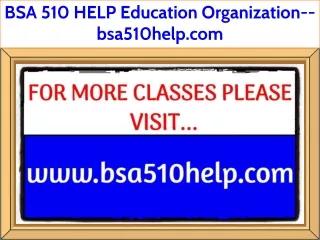 BSA 510 HELP Education Organization--bsa510help.com