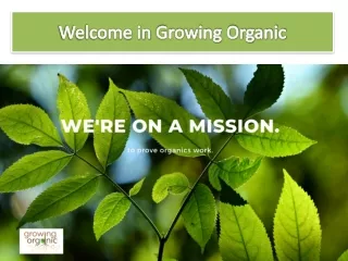 Growingorganic.com : Mushroom Cultivation Steps in Colorado | Probiotic Skin Care Products Sale Colorado